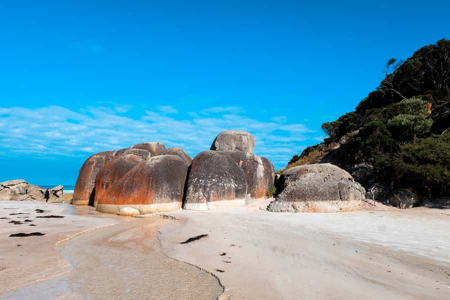 From Melbourne: Wilsons Promontory Small Group Day Tour - Squeaky Beach: quartz sand, real sound, and time to wander