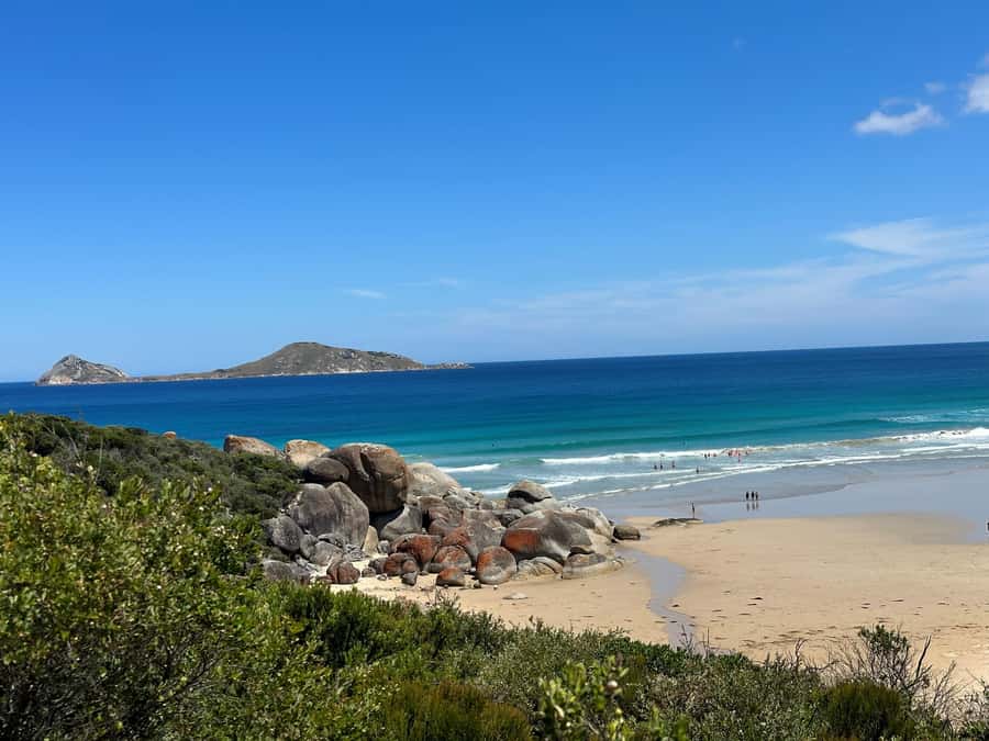 From Melbourne: Wilsons Promontory Wilderness Tour - Koonwarra and Tidal River: quick refresh, then real time on foot