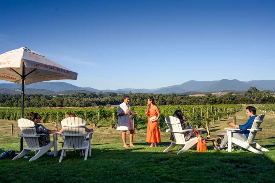 From Melbourne: Yarra Valley Hop-On-Hop-Off Bus Ticket - Price and value: what $65 buys you (and what it doesn’t)