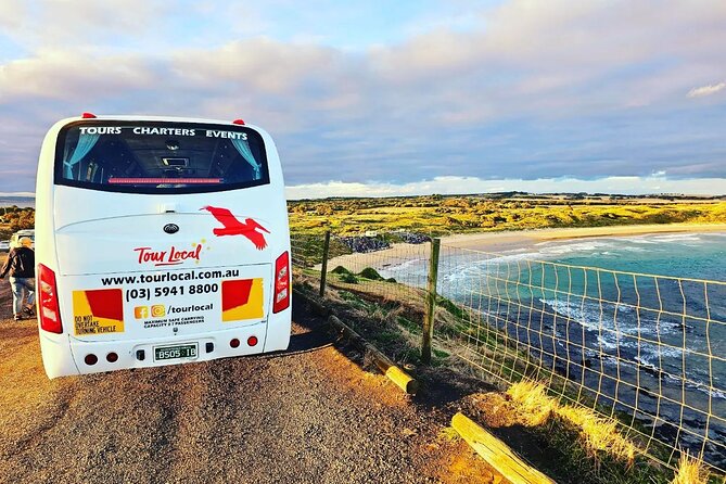 From Phillip Island: Wine and Wildlife Tour with Penguin Parade - Key highlights at a glance