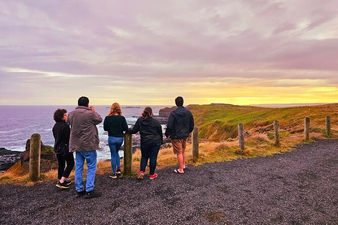 From Phillip Island: Wine and Wildlife Tour with Penguin Parade - Flynns Beach: A Quick Sand-Walk for Horizon Views