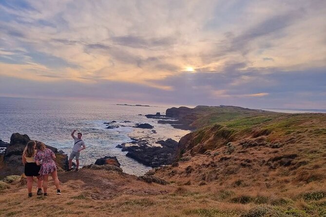 From Phillip Island: Wine and Wildlife Tour with Penguin Parade - Premium Coach Details That Actually Matter (WiFi, Charging, Pickup)