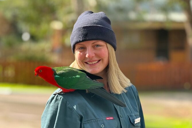 Full-Day Great Ocean Road and 12 Apostles Sunset Tour from Melbourne - Price and Value: What $99.70 Really Buys You