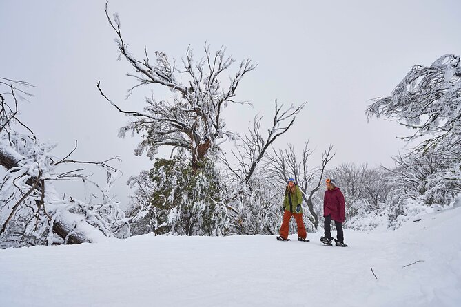 Full-Day Mount Buller Tour - Mansfield stop at Alzburg: where your warm day gets built