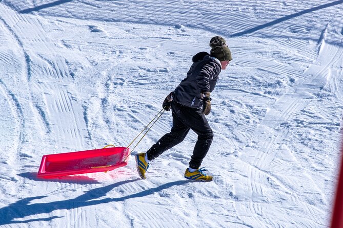 Full-Day Mount Buller Tour - Your Mount Buller window: ski, snowboard, tobogganing, or pure snow-watching