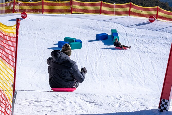 Full-Day Mount Buller Tour - Should you book the Mount Buller full-day tour?