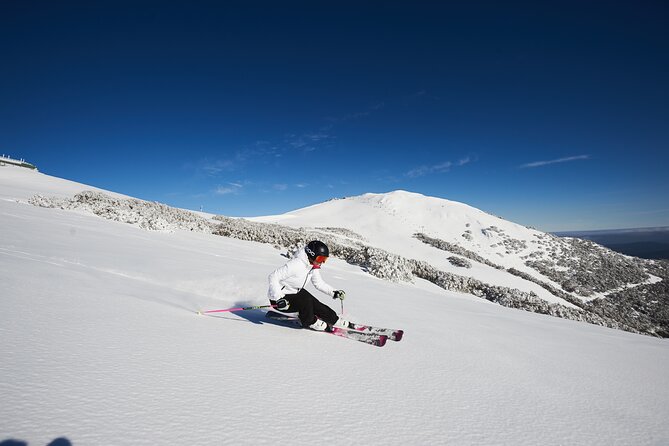 Full-Day Mount Buller Tour - The long scenic drive: comfort, timing, and group energy