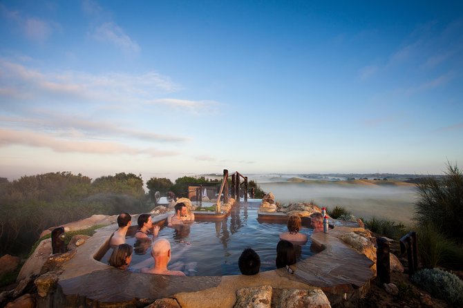 Full-Day Penguins and Wildlife Nature Experience from Melbourne - Who this trip is best for (and who should think twice)