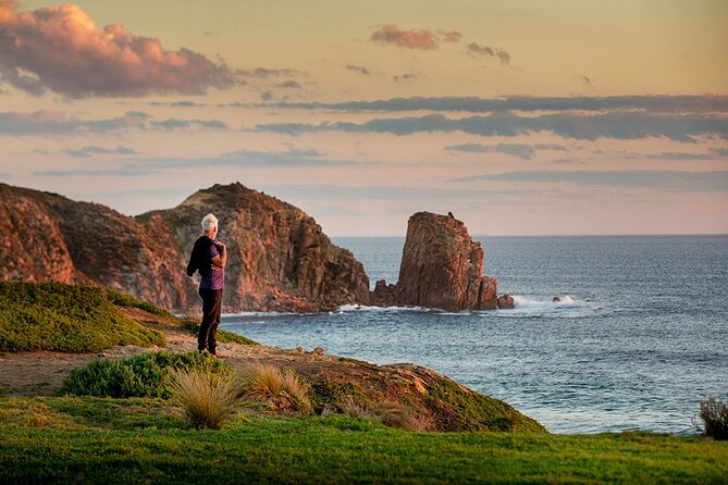 Full-Day Phillip Island Tour with Kangaroo, Koala and Penguin Parade - Penguin Parade at Summerland Beach: the main event