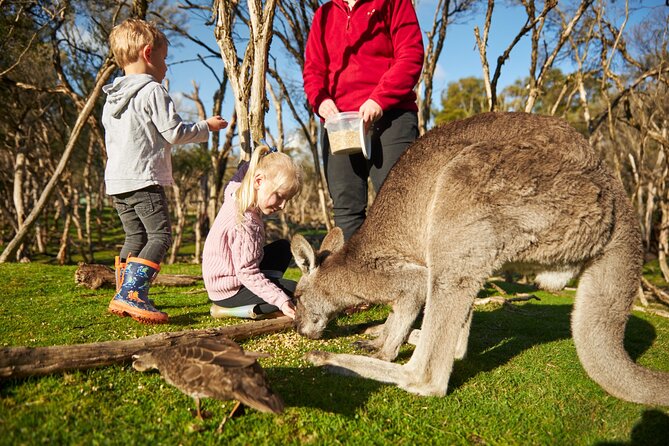Full-Day Phillip Island Tour with Kangaroo, Koala and Penguin Parade - Woolamai Beach: a quick break on Cape Woolamai