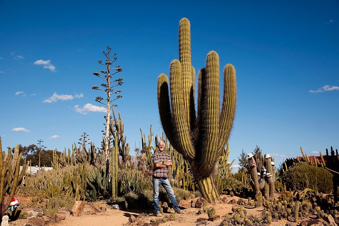 Garden Entry Ticket - Nursery shopping: take a piece of Cactus Country home
