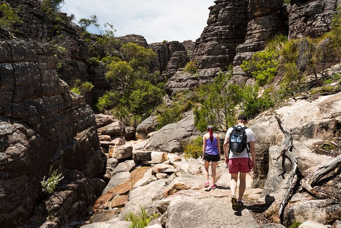 Grampians National Park Small-Group Eco Tour from Melbourne - The Big Picture: A Melbourne Day Trip That Actually Feels Like Grampians
