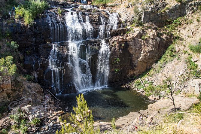 Grampians National Park with MacKenzie Falls and Kangaroos - Key things that make this Grampians day tour work