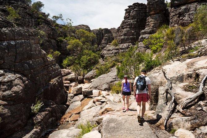 Grampians National Park with MacKenzie Falls and Kangaroos - The Balconies and Reeds Lookout: Rock Views on Shady Paths