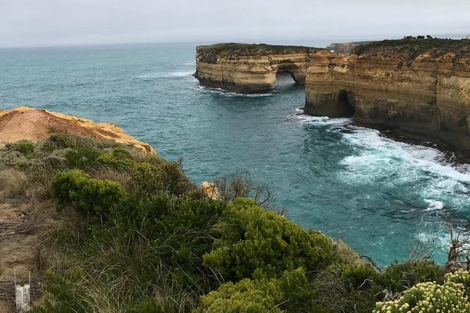 Great Ocean Road 12 Apostles kangaroo, koala and chocolate tour - Price and Value: What $56.66 Gets You
