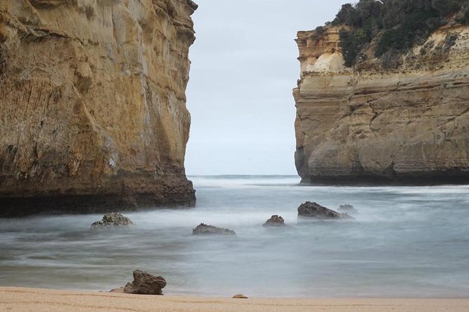 Great Ocean Road 12 Apostles kangaroo, koala and chocolate tour - The 12-Hour Reality: How the Drive Shapes the Experience