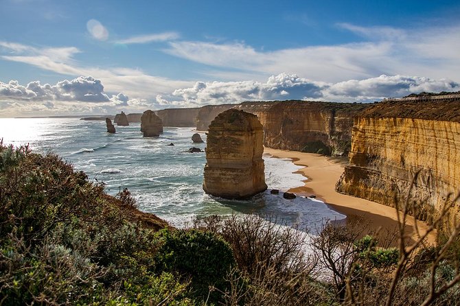 Great Ocean Road, 12 Apostles, Rainforest & Morning Tea-Melbourne - Apollo Bay: a real coastal town break, not just a parking lot