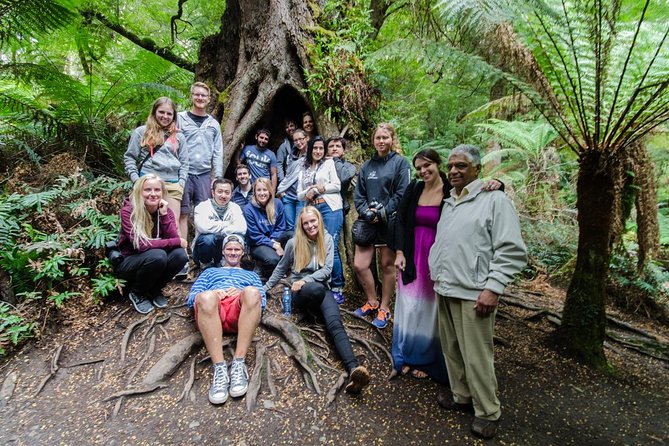 Great Ocean Road 12 Apostles & Rainforest Walk with Morning Tea - Price of $93.24: Why This Looks Like Good Value on a Long Day