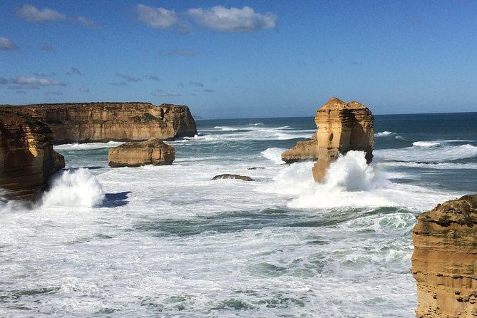 Great Ocean Road Reverse Rainforest & 12 Apostles from Melbourne - Great Otway National Park: rainforest walking that actually moves