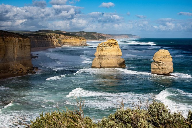 Great Ocean Road Reverse Rainforest & 12 Apostles from Melbourne - Kennett River / Wye River koala chances: wild is the point