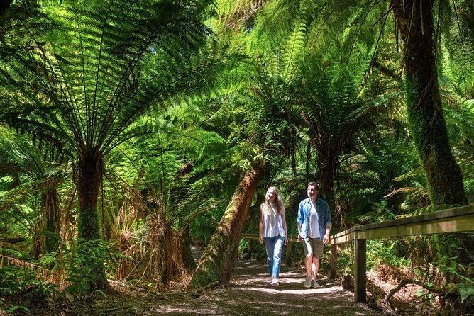Great Ocean Road Small-Group Eco Tour from Melbourne - Loch Ard Gorge: the shipwreck story you can walk into