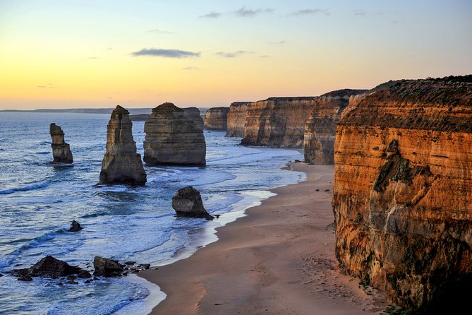 Great Ocean Road Tour Plus Koalas, Forest Walk and Morning Tea - Key Highlights You Should Care About
