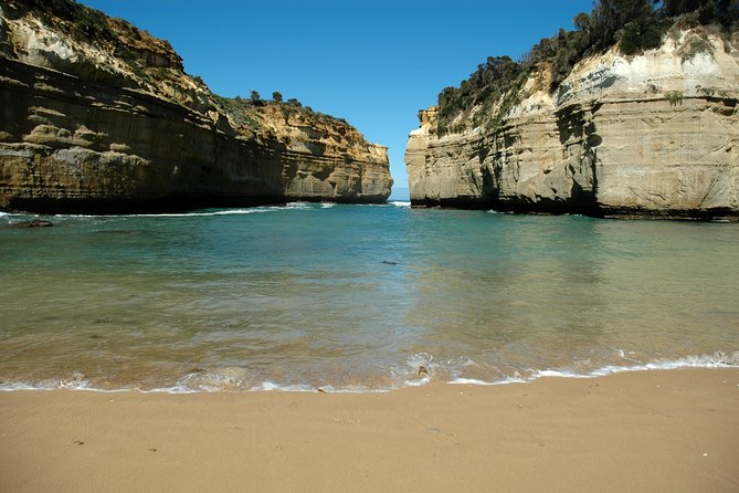 Great Ocean Road Tour Plus Koalas, Forest Walk and Morning Tea - Torquay Front Beach to The Pole House: Get Your Bearings Fast