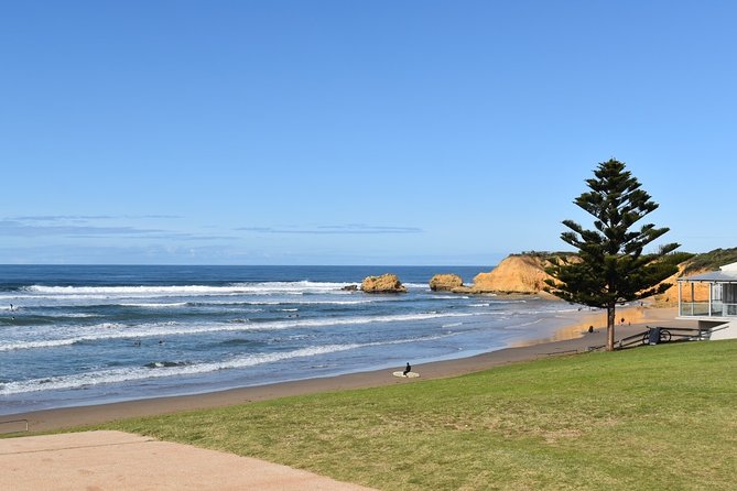 Great Ocean Road Tour Plus Koalas, Forest Walk and Morning Tea - Loch Ard Gorge: The Final Stop That Feels Like the Payoff