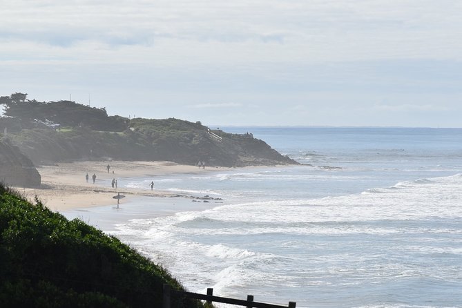 Great Ocean Road Tour Plus Koalas, Forest Walk and Morning Tea - Guides Can Make or Break Your Day: Warren, Theo, Mat, Fio