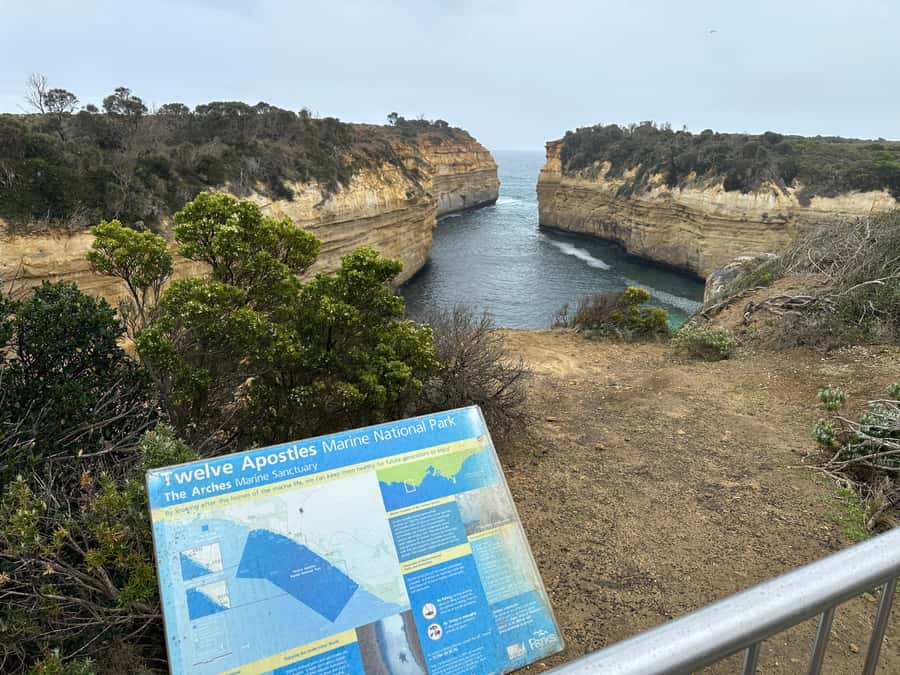 Great Ocean Road Tour PRIVATE LUXURY-FREE entry,hotel pickup - Mutton Bird Lookout: the dramatic start and penguin spotting odds