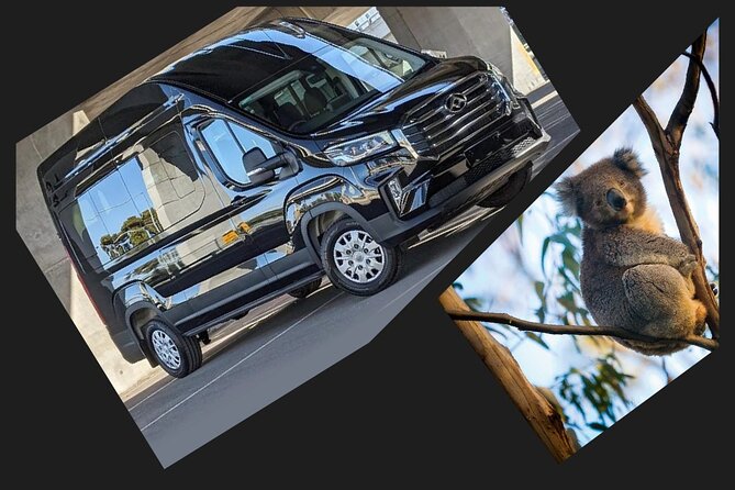 Great Ocean Road Tour Reverse –SML GRP-DLUX Mini Bus Hotel Pickup - Tom and Eva Lookout to Loch Ard Gorge: shipwreck stories made visible