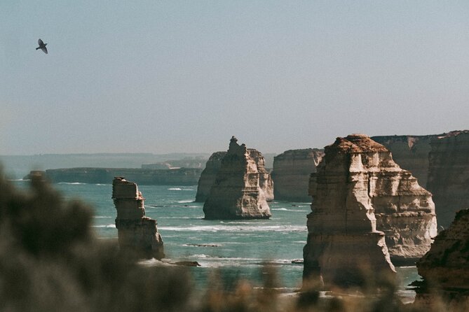 Half-Day or Full-Day Tour with Private Guide from Melbourne - Why This Private Melbourne Day Works for Groups