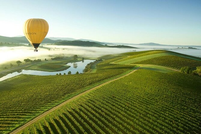 Half-Day or Full-Day Tour with Private Guide from Melbourne - How Customization Really Shows Up (Not Just a Template)