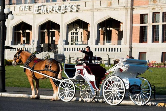 Heritage Horse-Drawn Carriage Experience in Victoria - James Bay by horse: what makes this ride feel special