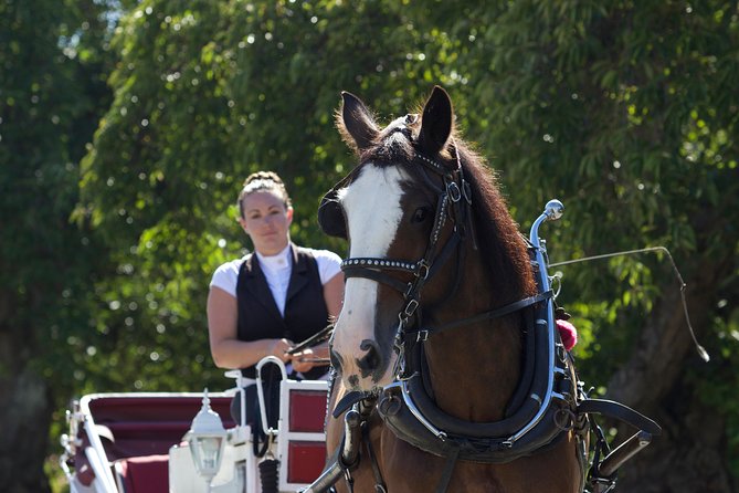 Heritage Horse-Drawn Carriage Experience in Victoria - Comfort that matters in Victoria: blankets, roof, and carriage lanterns