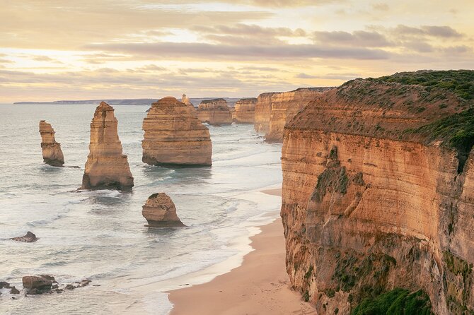 Lux Great Ocean Road Tour Reverse - Max 11 Hotel Pickup - Great Otway National Park: rainforest time without the long hike