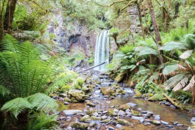 Melbourne: 12 Apostles, Otways & Great Ocean Road Day Tour - Great Otways National Park Waterfall Walk (Grade 2, Not a Hardcore Hike)