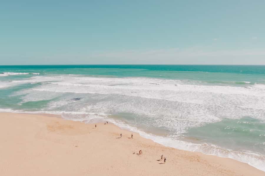 Melbourne: 12 Apostles, Otways & Great Ocean Road Day Tour - Apollo Bay and Lorne: Town Stops That Actually Let You Breathe