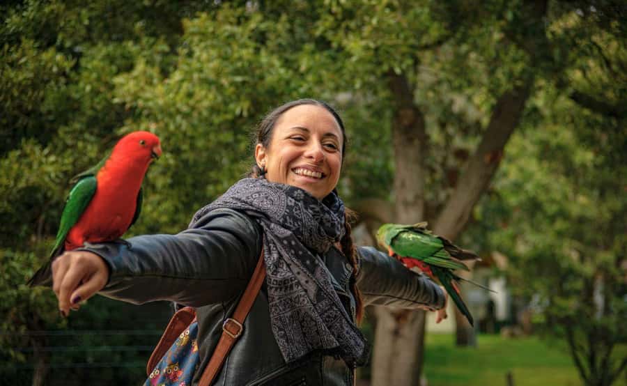 Melbourne: 12 Apostles Sunset Tour - Less Crowds - Comfort, Timing, and What to Pack for a Day That Runs Late
