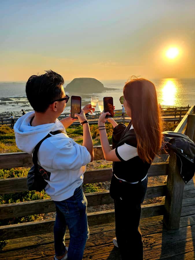 Melbourne: Boutique Phillip Island Wine, Dine & Penguin Tour - Phillip Island Winery: wine tasting plus grazing that actually satisfies