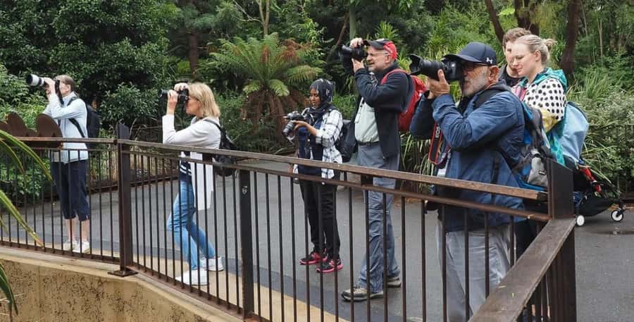 Melbourne City Surrounding Sightseeing Tour - City centre pass: get your bearings without extra effort