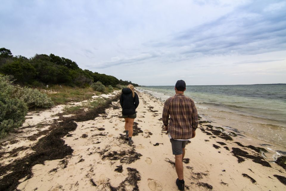Melbourne: French and Phillip Island Wildlife Expedition - Lunch or afternoon tea at a local farm gate: the human side of the island