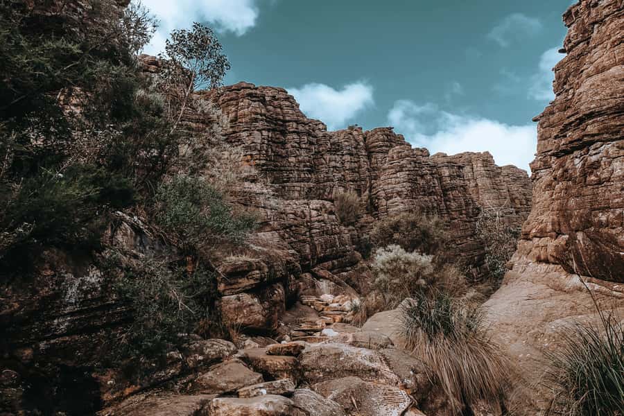 Melbourne: Grampians Day Tour - Price and logistics: is $155 a fair deal?