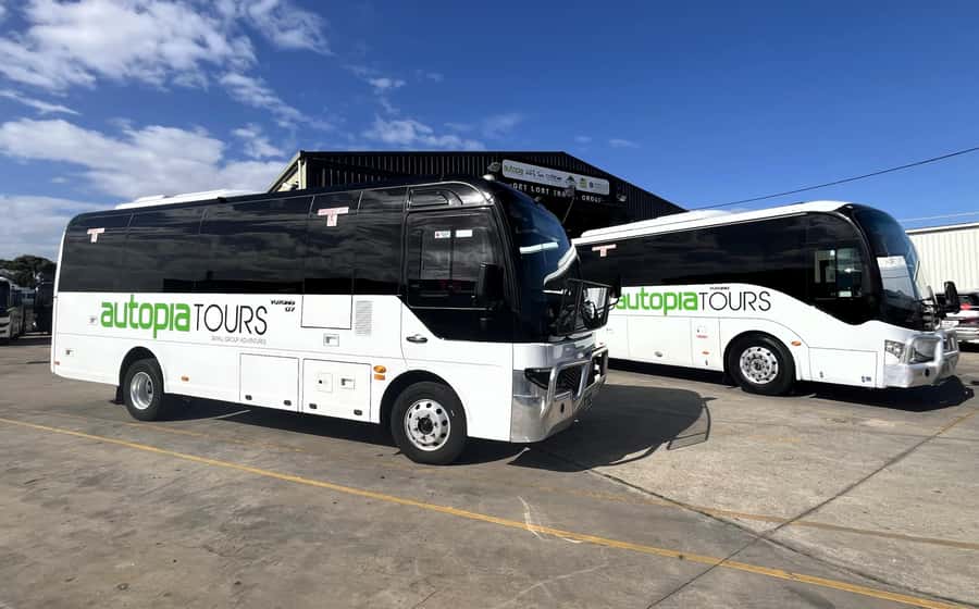 Melbourne: Great Ocean Road, 12 Apostles & Rainforest Tour - Shipwreck Coast and Port Campbell: Loch Ard Gorge plus Twelve Apostles