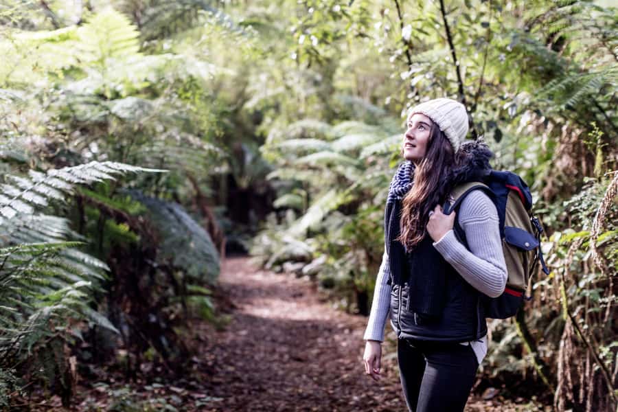 Melbourne: Great Ocean Road, 12 Apostles & Rainforest Tour - The ride back via Colac: staying comfortable after the big stops