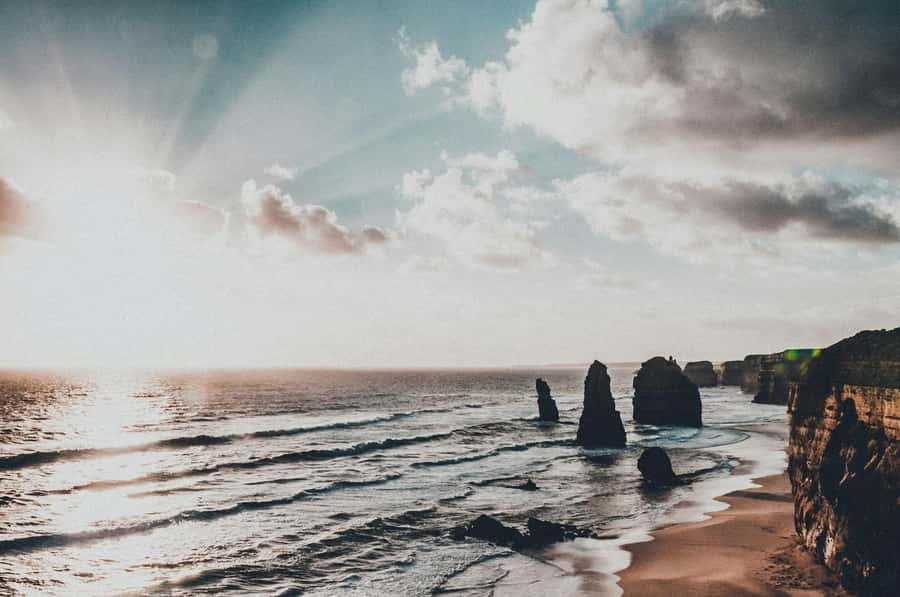 Melbourne: Great Ocean Road Adventure with Iconic Stops - Barham Paradise Scenic Reserve: Eucalyptus, Wildlife, and Koala Chances