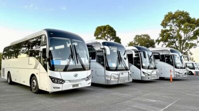 Melbourne Great Ocean Road Benz SmallGroup&LuxCoach BigGroup - Twelve Apostles and Loch Ard Gorge: the photo stops that matter most
