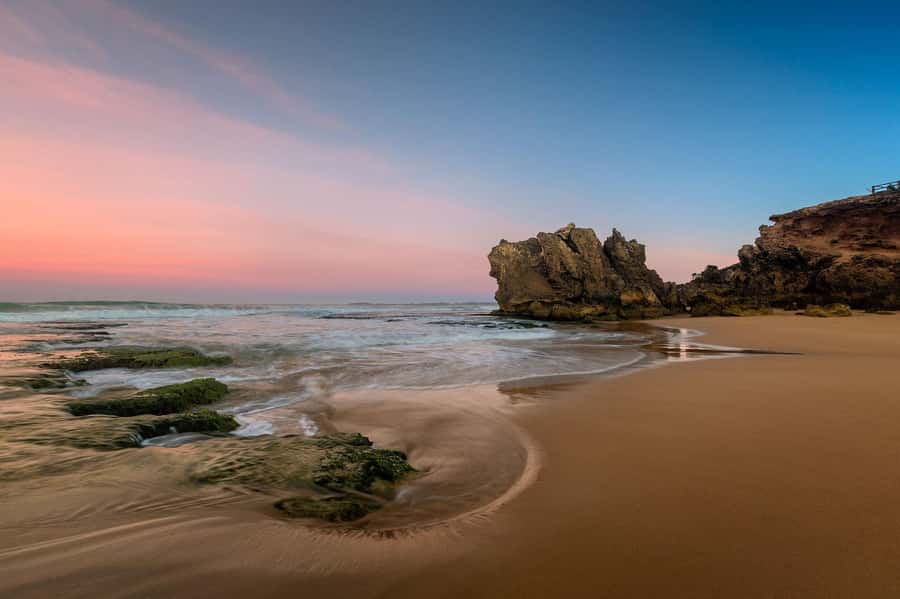 Melbourne: Great Ocean Road Day Tour with kangaroos & koalas - How the day runs from Melbourne to the coast