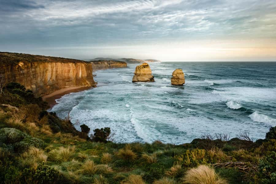 Melbourne: Great Ocean Road Extended–Top Stops&London Bridge - Barham River Road koala spotting: worth keeping your eyes up