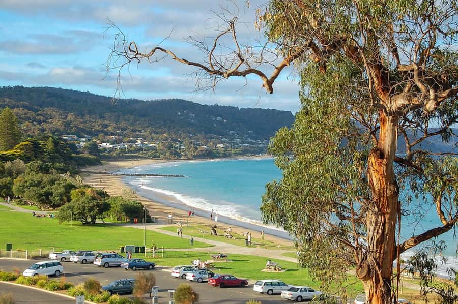 Melbourne: Great Ocean Road to 12 Apostles via the Coastline - Why the morning drive on the Great Ocean Road matters